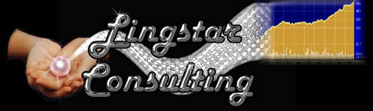 Lingstar Advertising and Business Consulting Services based in Central NJ.  High visibility website design, internet marketing promotions, onsite training and more offered