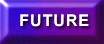 Future Works